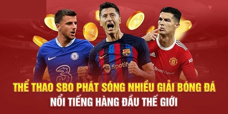 SBO Sports Ev88 - Lợi Thế Cạnh Tranh Trong Thế Giới Cá Độ Thể Thao 3 Hình thức cá cược đa dạng tại SBO Sports Ev88