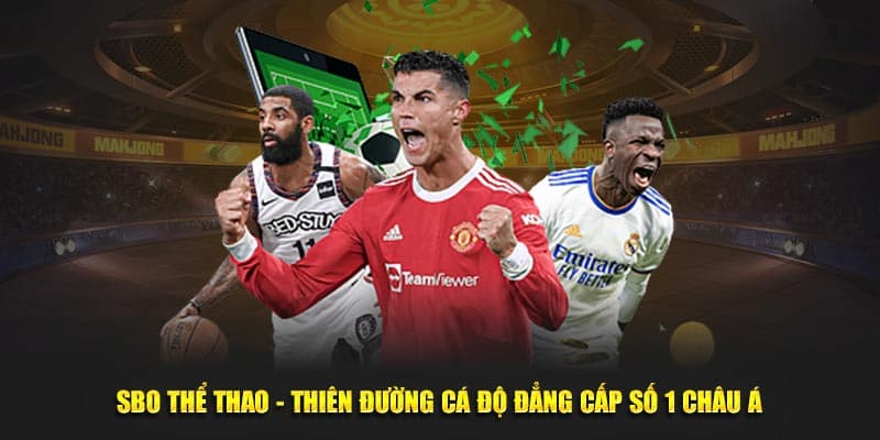 SBO Sports Ev88 - Lợi Thế Cạnh Tranh Trong Thế Giới Cá Độ Thể Thao 4 Tỷ lệ cược cạnh tranh tại SBO Sports Ev88