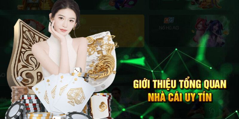 Trang chủ 12 Giới thiệu thương hiệu EV88 đến với quý bạn đọc