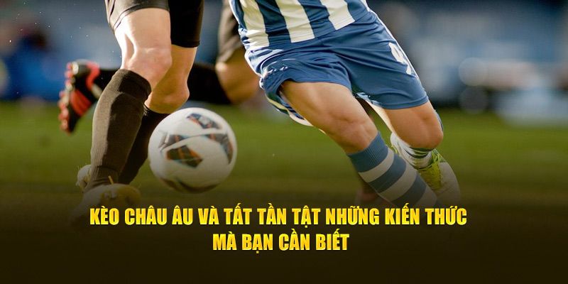 Kèo Châu Âu: Tìm Hiểu Chi Tiết Tỷ Lệ Chỉ Có Ngay Tại Ev88 1 keo chau au